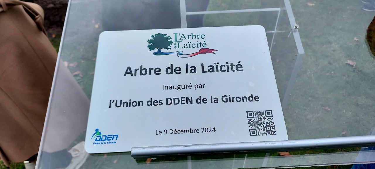 IMG-20241212-WA0015_copy_1280x576