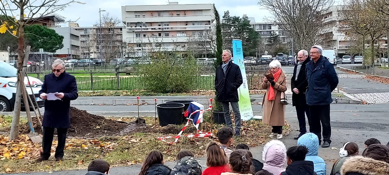 IMG-20241212-WA0020_copy_1280x576