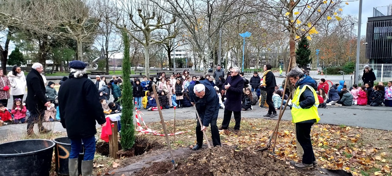 IMG-20241212-WA0022_copy_1280x576_1