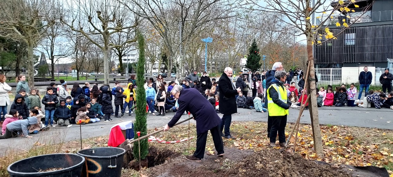 IMG-20241212-WA0026_copy_1280x576